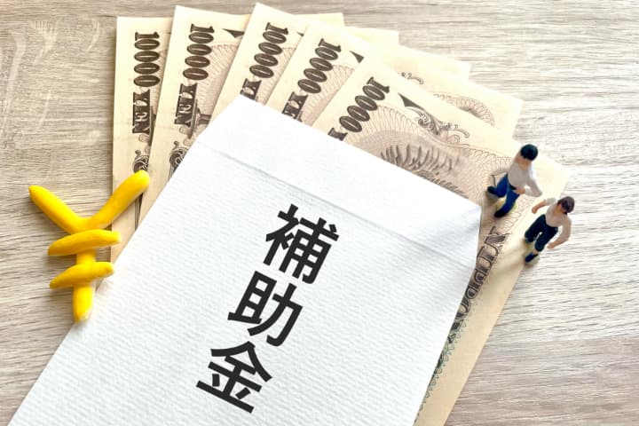 国の補助金、交付金を使って発電機の導入は出来ますか？